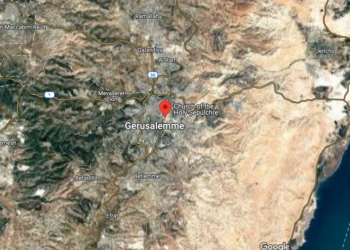 Scoperto l’antico giardino della Passione di Cristo: ulivi e viti di 2000 anni fa nel cuore di Gerusalemme