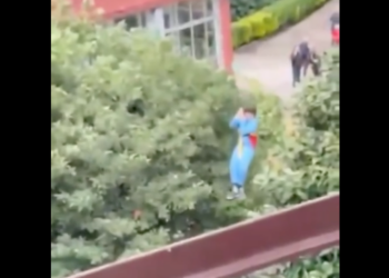 Contromano sotto effetto di alcol e cocaina: Melissa 12 anni perde la vita nell’auto guidata dal padre