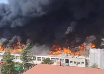 +++ Università di Viterbo in fiamme: crolla il secondo piano. Panico tra le aule +++