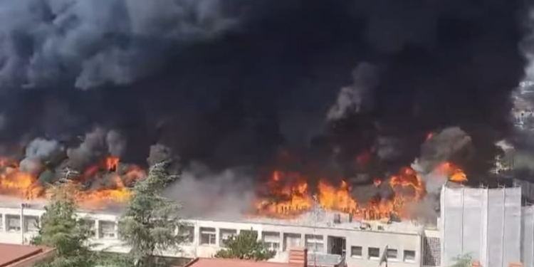 +++ Università di Viterbo in fiamme: crolla il secondo piano. Panico tra le aule +++