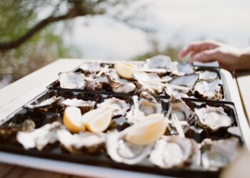 Norovirus tra le Ostriche: lotti contaminati e rischi per la salute. Scatta il ritiro