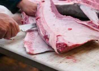 Mercurio nei mari: i cinque pesci che portano il veleno in tavola