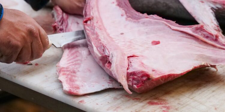 Mercurio nei mari: i cinque pesci che portano il veleno in tavola