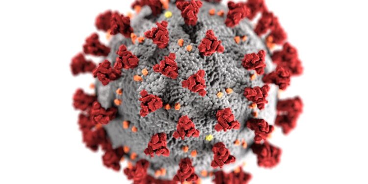 Isola di Pasqua: svelato il segreto dei Moai